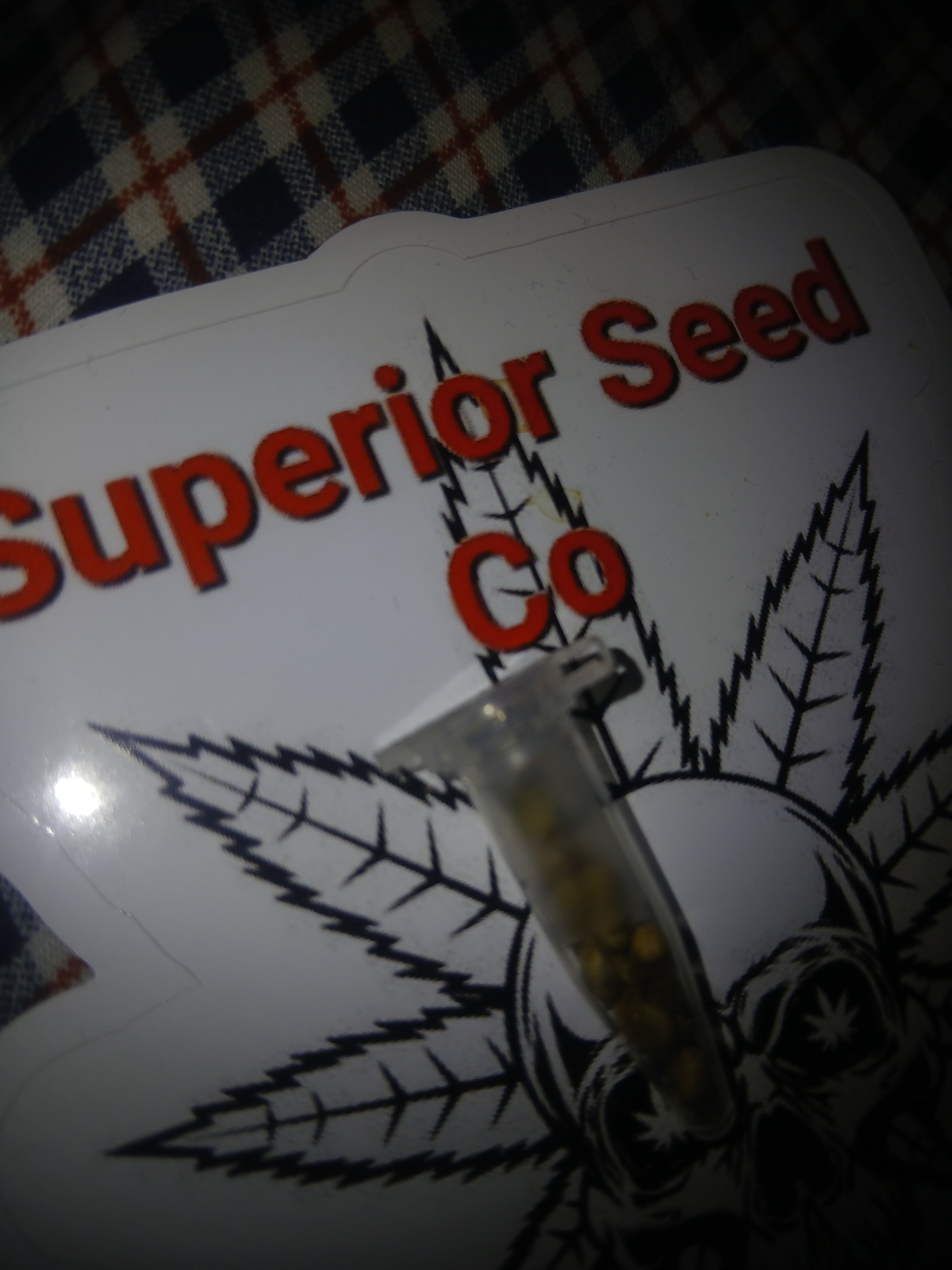 Sour widow 10-pack of feminized seeds