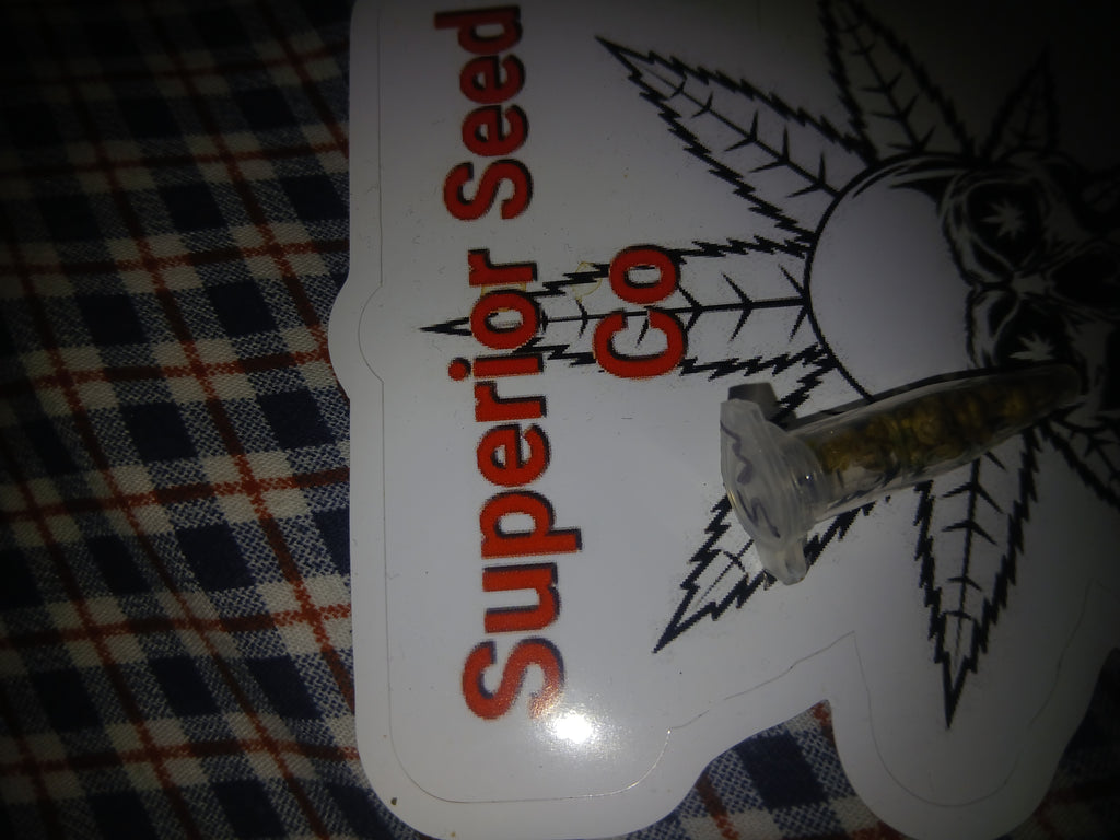 Sour widow 10-pack of feminized seeds