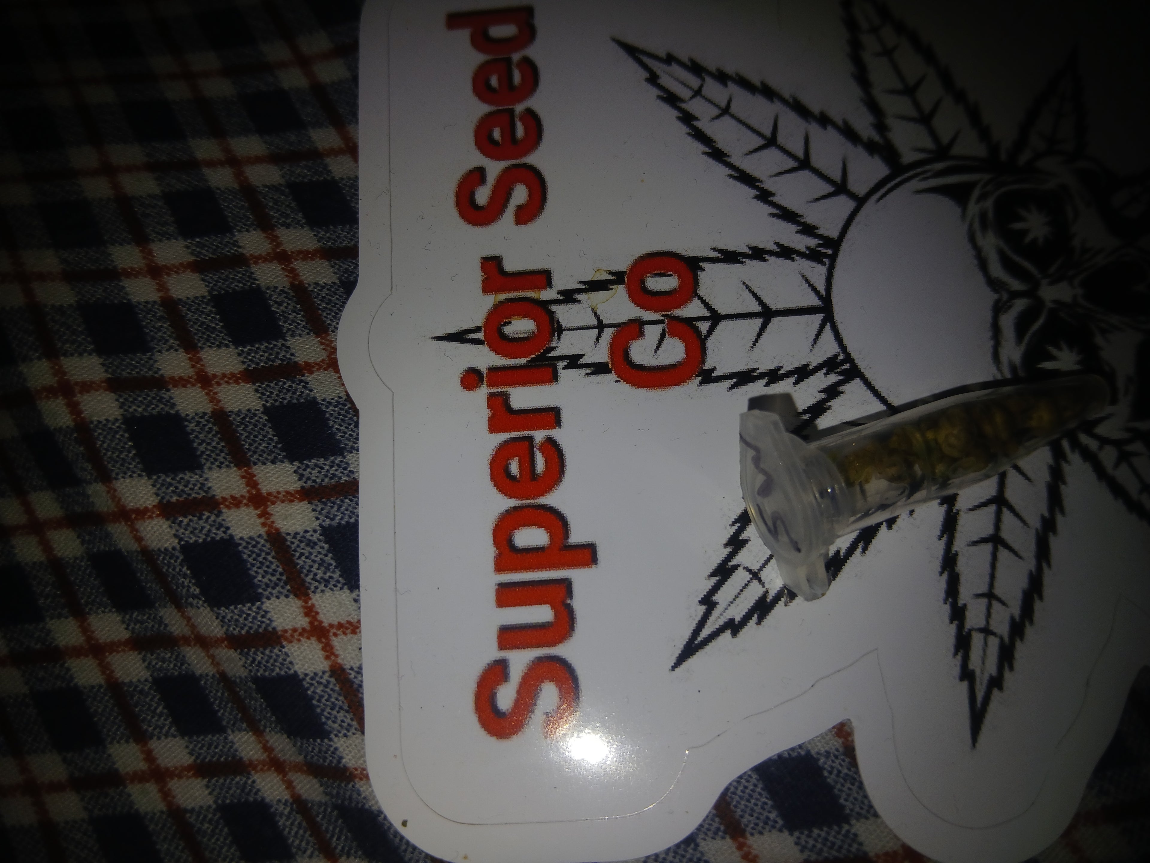 Sour widow 10-pack of feminized seeds