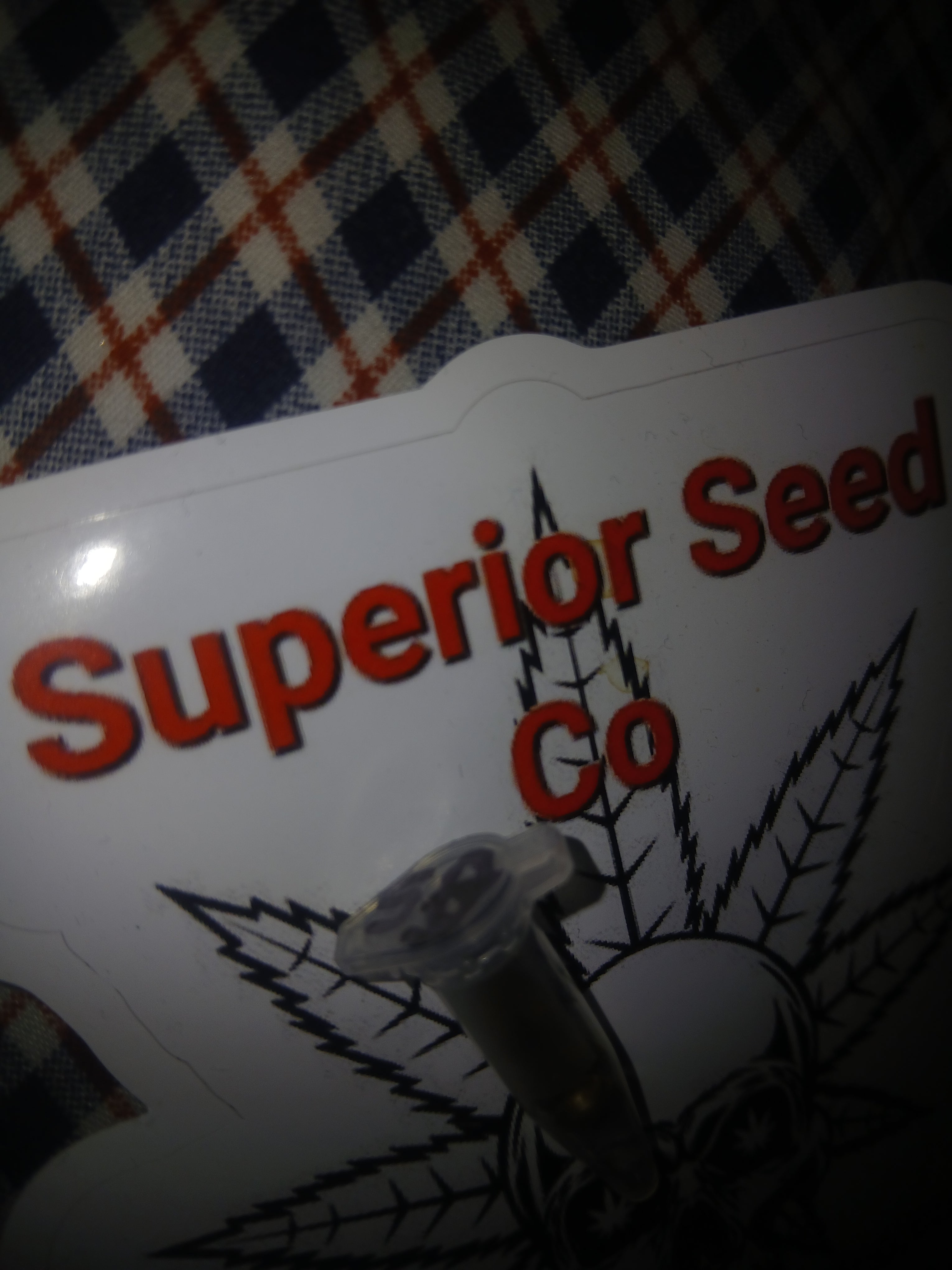 Sour Berry 10-pack of feminized seeds