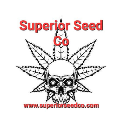 Superior seed co