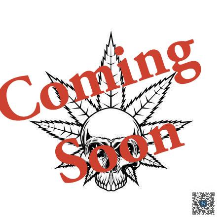 Gorilla Nut 10-pack of feminized seeds