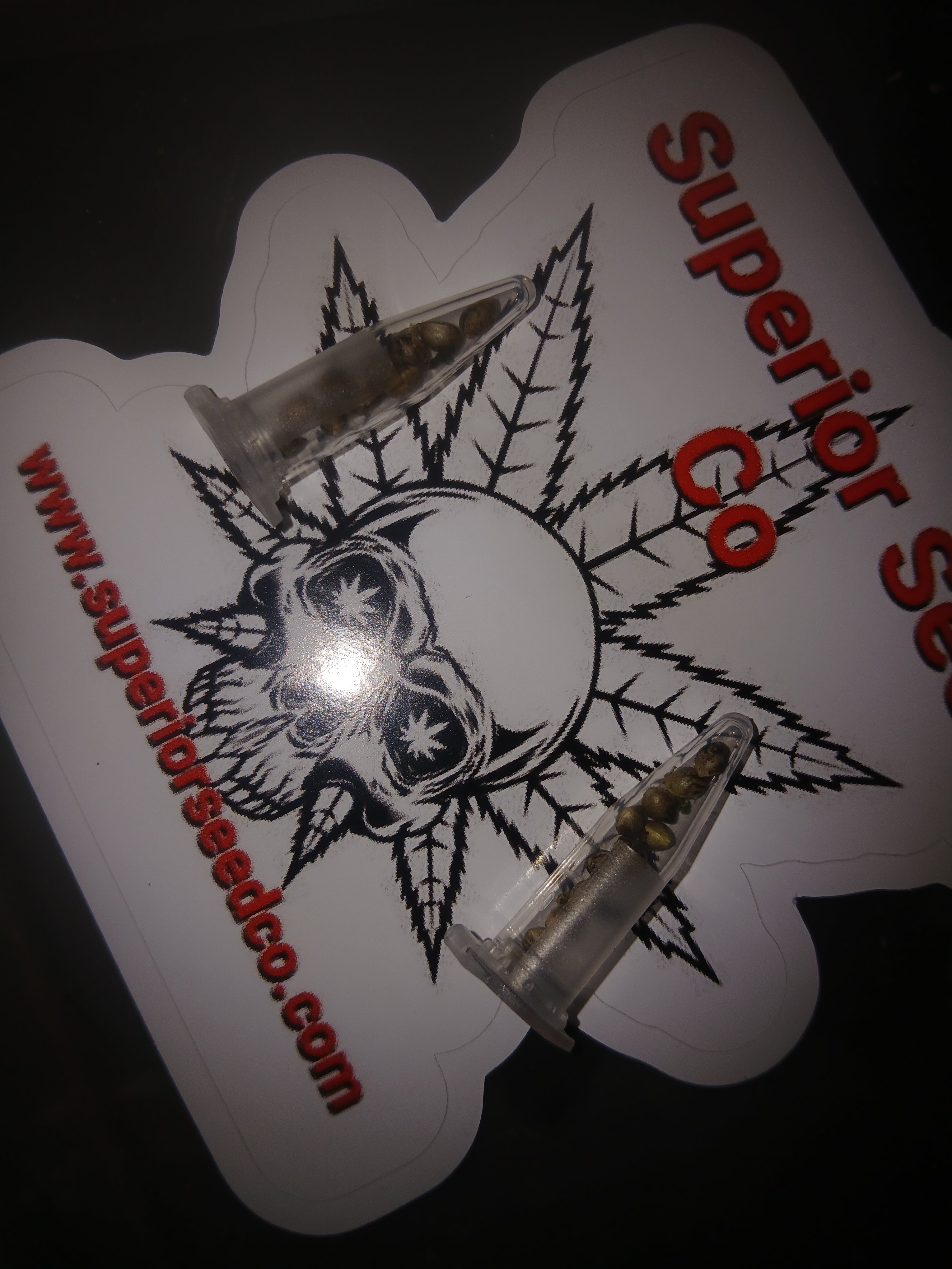 Apple Fritter 10-pack feminized seeds