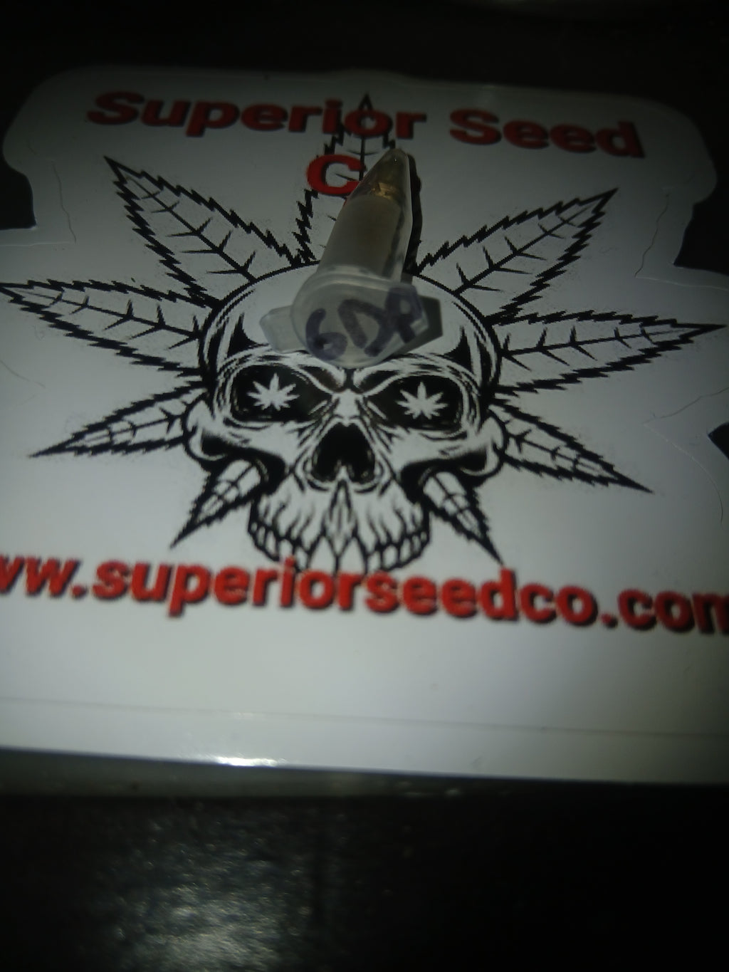 Granddaddy Purp 10-pack of feminized seeds