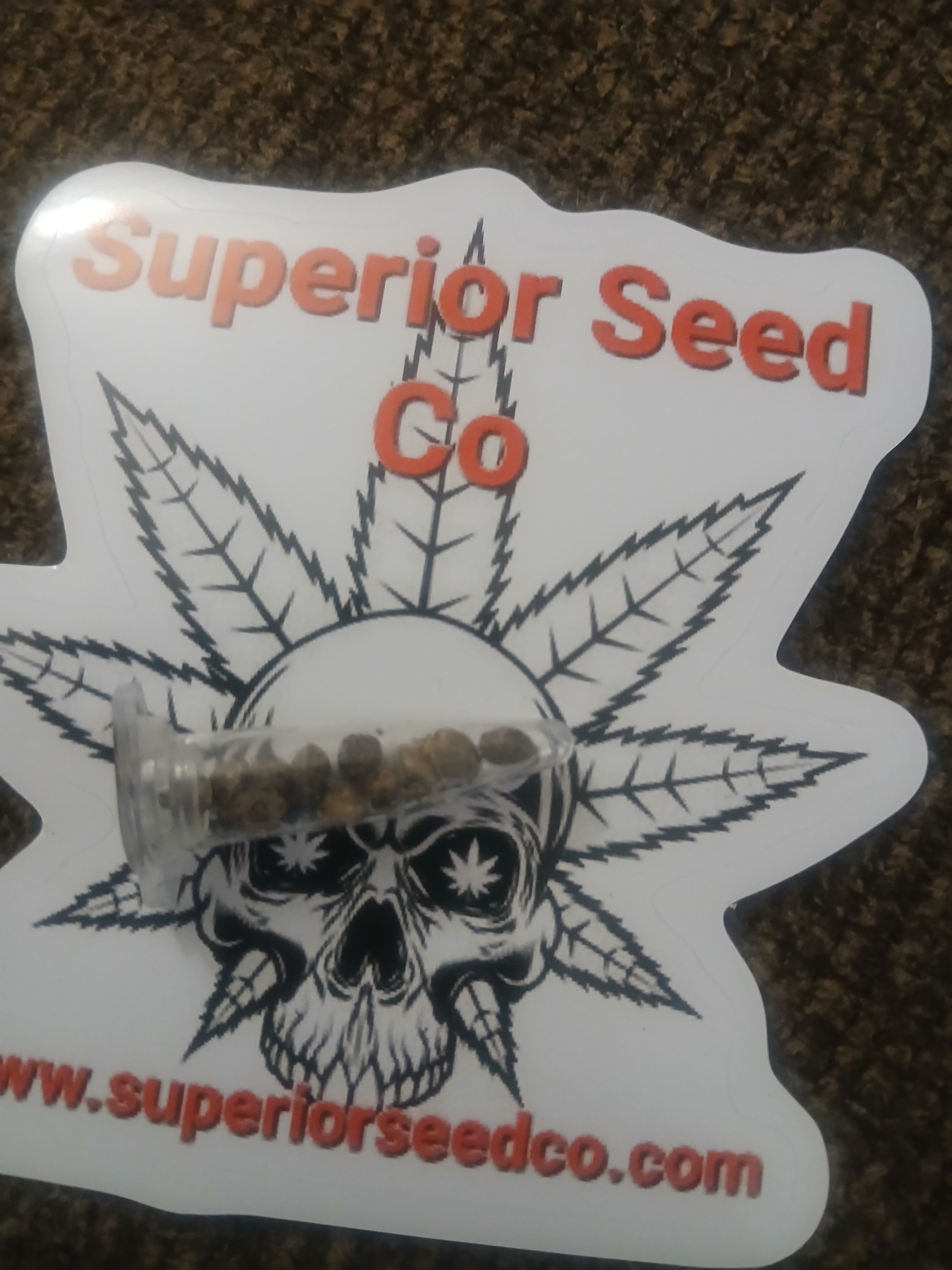 Diesel Glue 10-pack feminized photoperiod