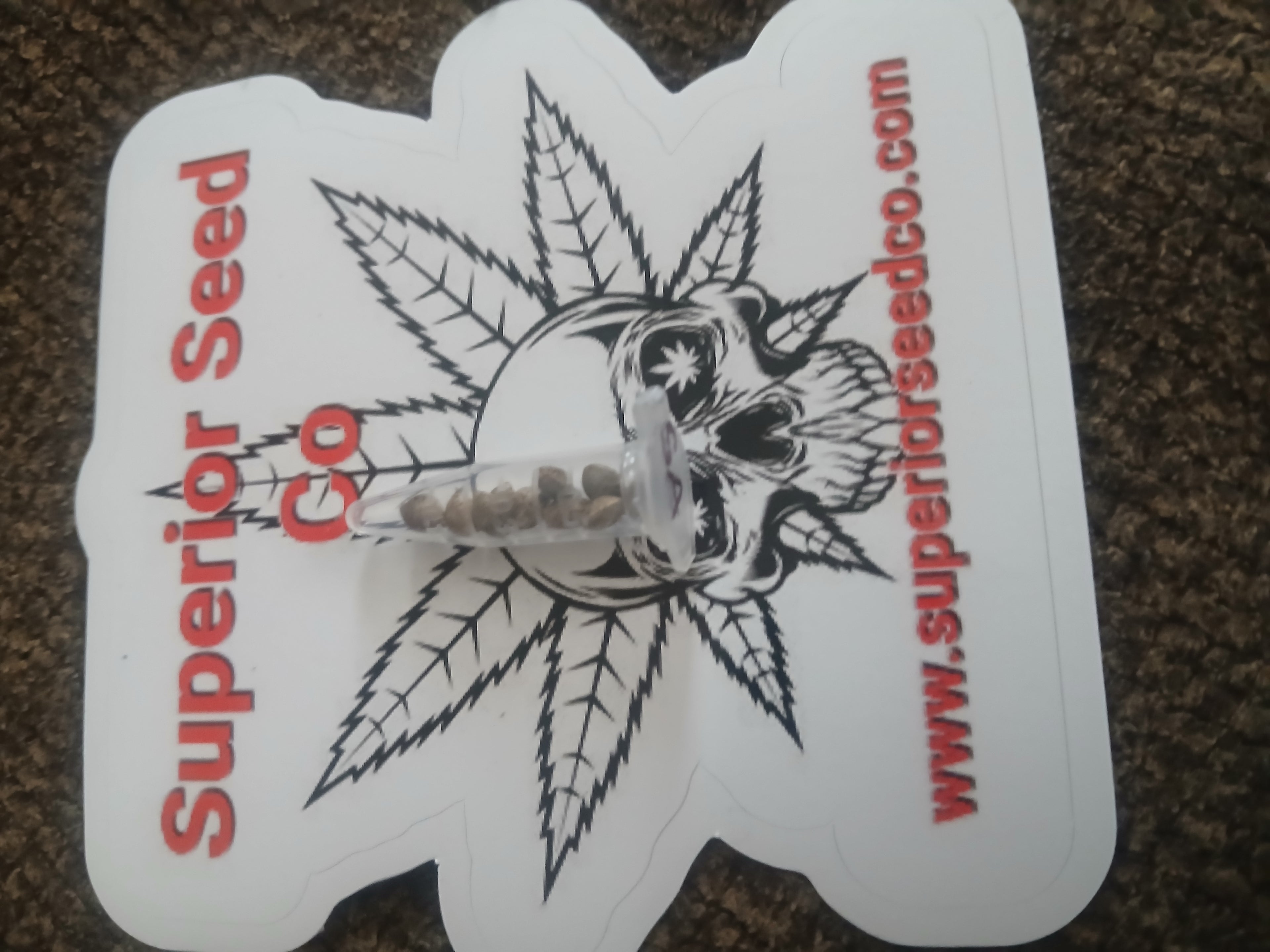 Sour Ape 10-pack feminized photoperiod